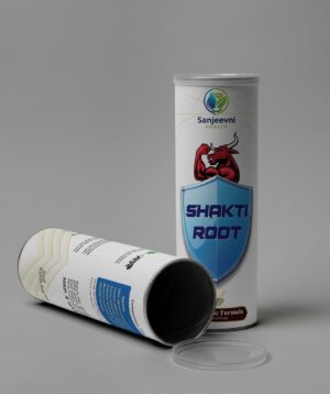 SHAKTI ROOT